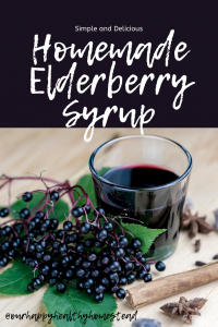 How to make elderberry syrup